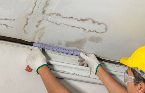Reliable Sewage Cleanup contractor in Saint Paul, OR by Water Damage Irwin
